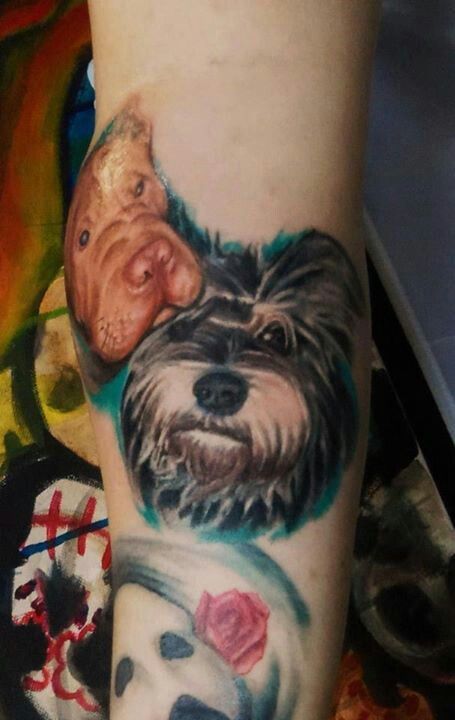 3D with blue green shadow of the face of Schnauzer tattoo on the forearm