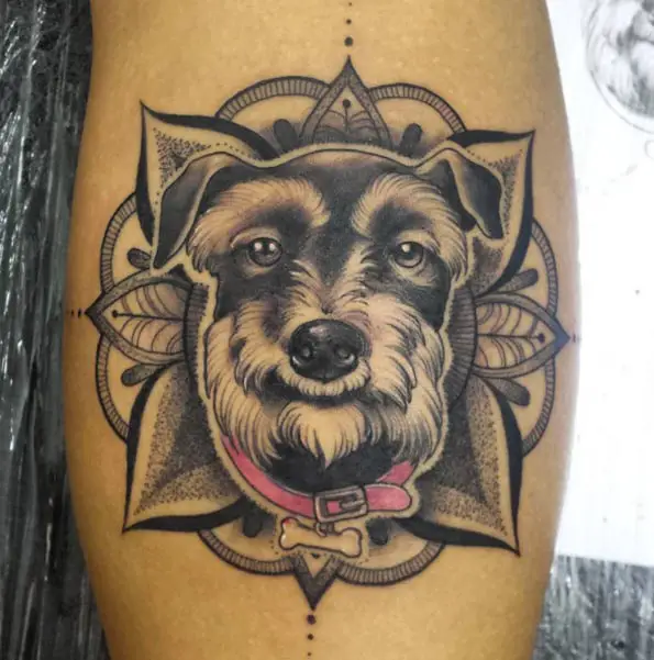 face of Schnauzer inside a mandala design tattoo