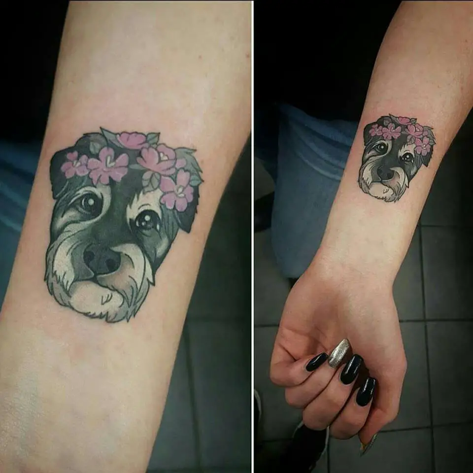 animated adorable face of Schnauzer with pink flowers on its head tattoo on the forearm