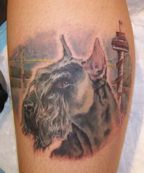 side view face of black Schnauzer dog tattoo on the leg
