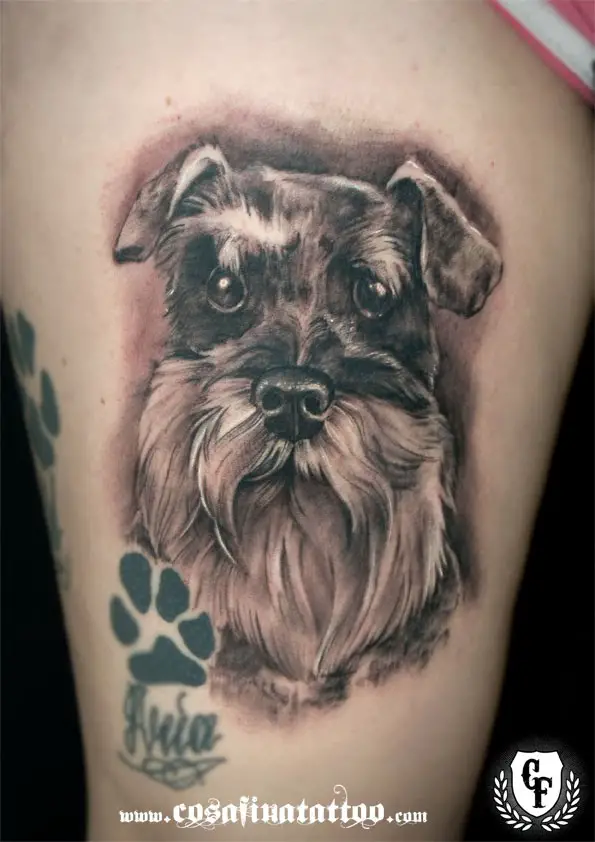 35+ Best Schnauzer Dog Tattoo Designs In The World - The Paws