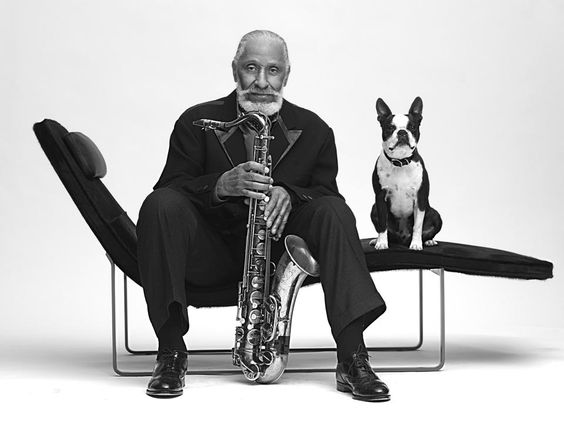 Sonny Rollins holding its saxophone while sitting on a chair with his Boston Terrier sitting beside him