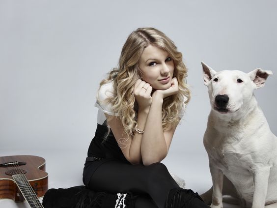 Taylor Swift with her English Bull Terrier sitting on her side