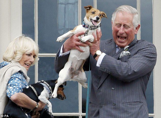 The Prince of Wales (Prince Charles) and Camilla Parker-Bowles with their Jack Russell Terriers