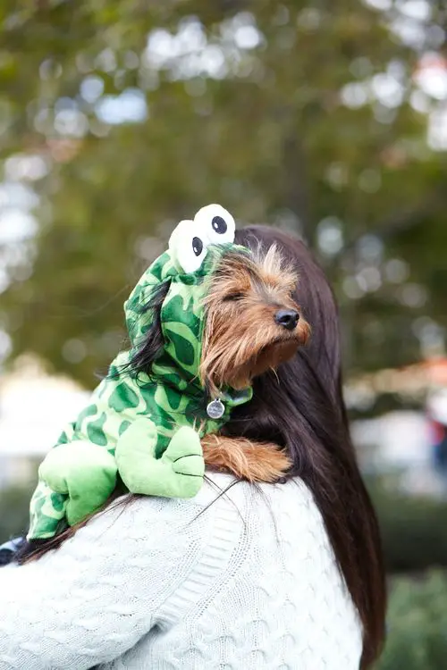 girl carrying a Yorkie in frog outfit