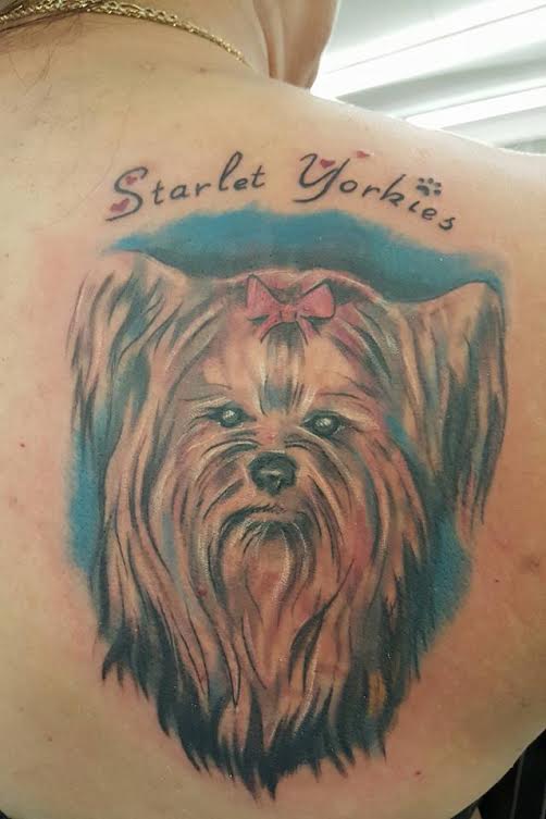 a yorkie with name on top - Starlet Yorkies tattoo on the back of the woman