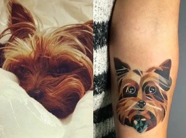 artistic style face of a yorkie tattoo on the forearm