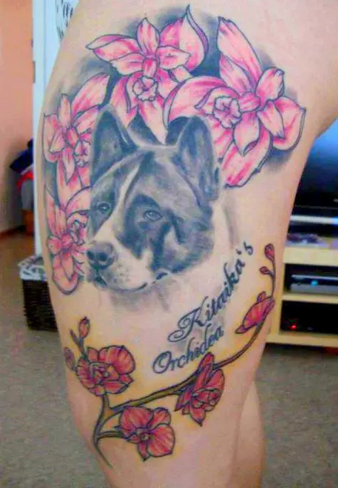 face of a black and white Akita Inu with flowers tattoo on the thigh