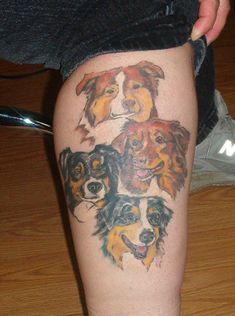 The 25 Cutest Australian Shepherd Dog Tattoos Ever  The Paws