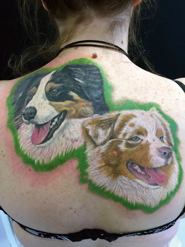 realistic happy faces of Australian Shepherd Dog with green shadow tattoo on the back of a woman