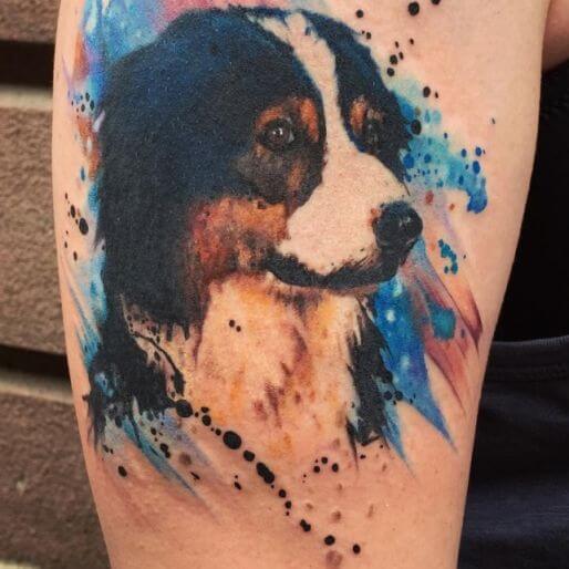 realistic Australian Shepherd Dog looking sideways with splashes of blue and red paint in the background tattoo on the shoulder