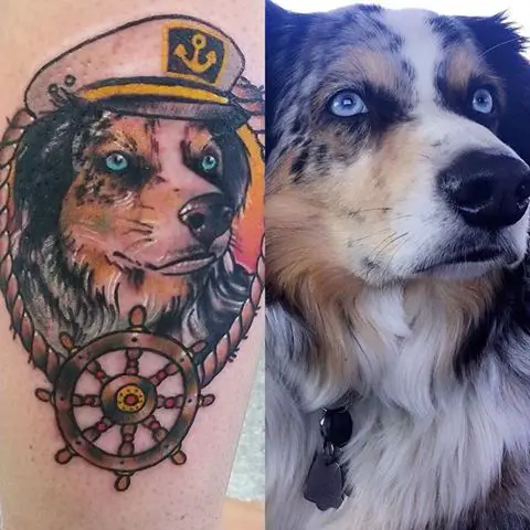 seafarer Australian Shepherd Dog with anchor frame tattoo