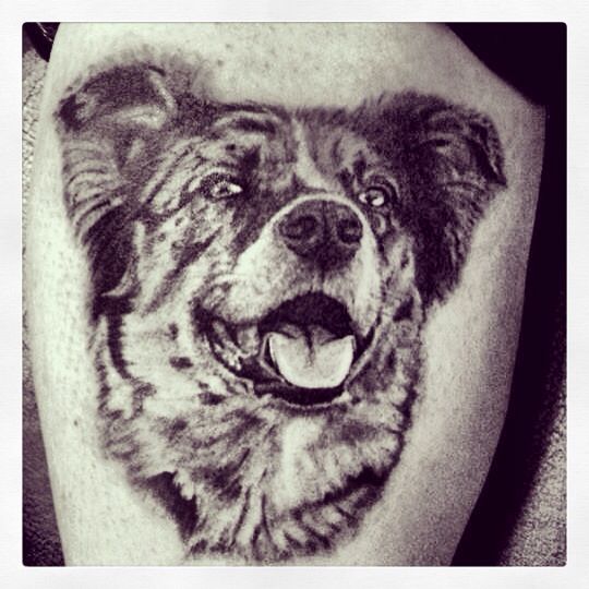 black and gray Australian Shepherd Dog's face tattoo on the thigh