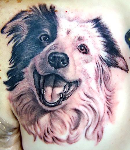 realistic black and white smiling Australian Shepherd Dog tattoo on the back