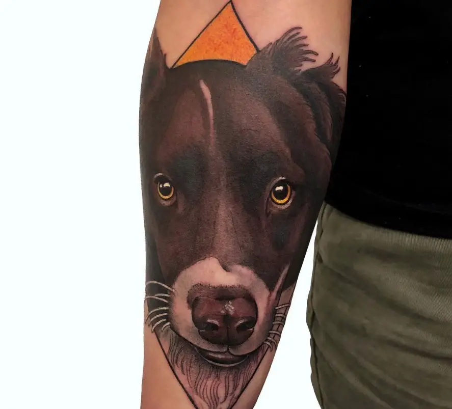 face of Australian Shepherd in a diamond tattoo on the forearm