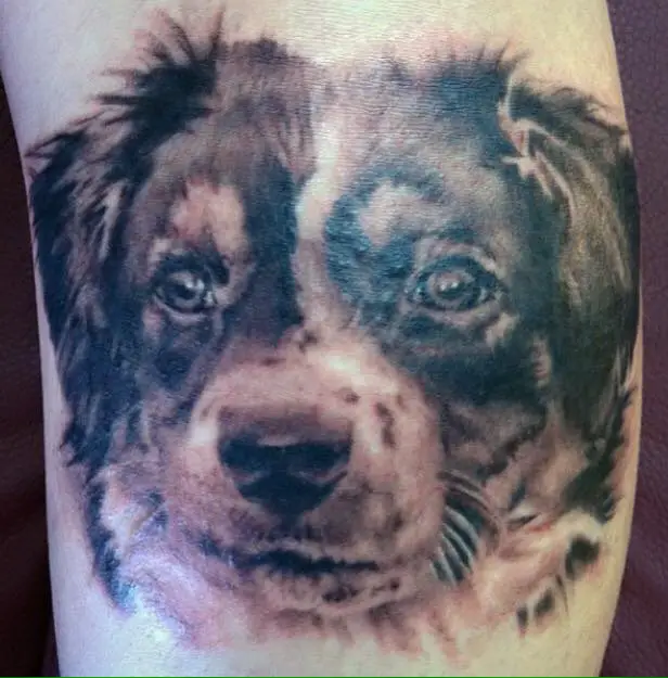 realistic black and white Australian Shepherd puppy tattoo