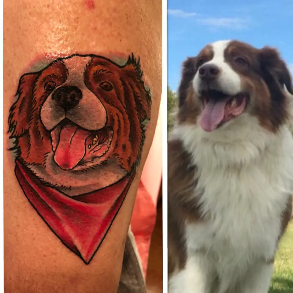 animated happy face of Australian Shepherd Dog wearing red scarf tattoo