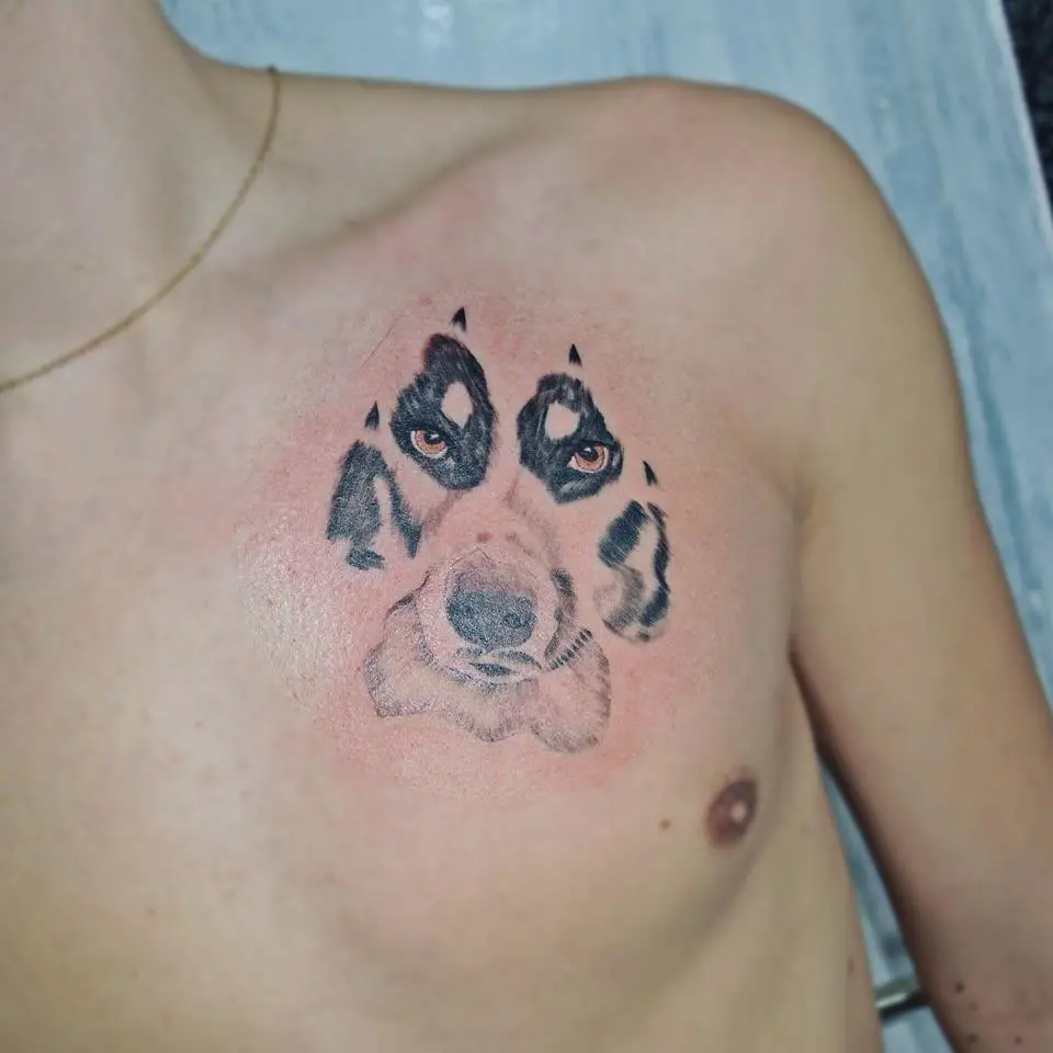 paw print with the face of an Australian Shepherd Dog tattoo on the chest
