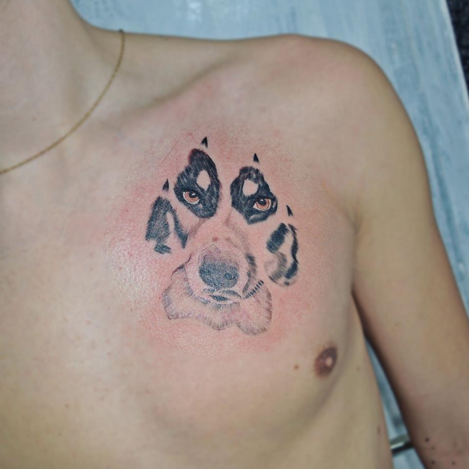 paw print with the face of an Australian Shepherd Dog tattoo on the chest