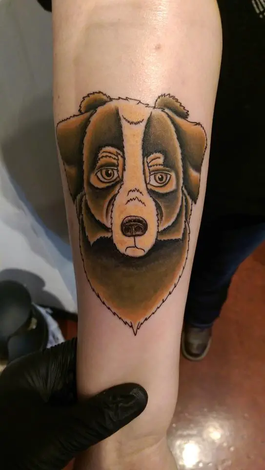 animated brown Australian Shepherd puppy tattoo on the forearm