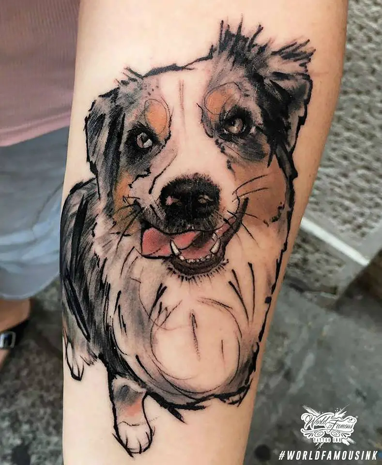 Australian Shepherd Dog tattoo in sketch style with black, gray, and brown colors