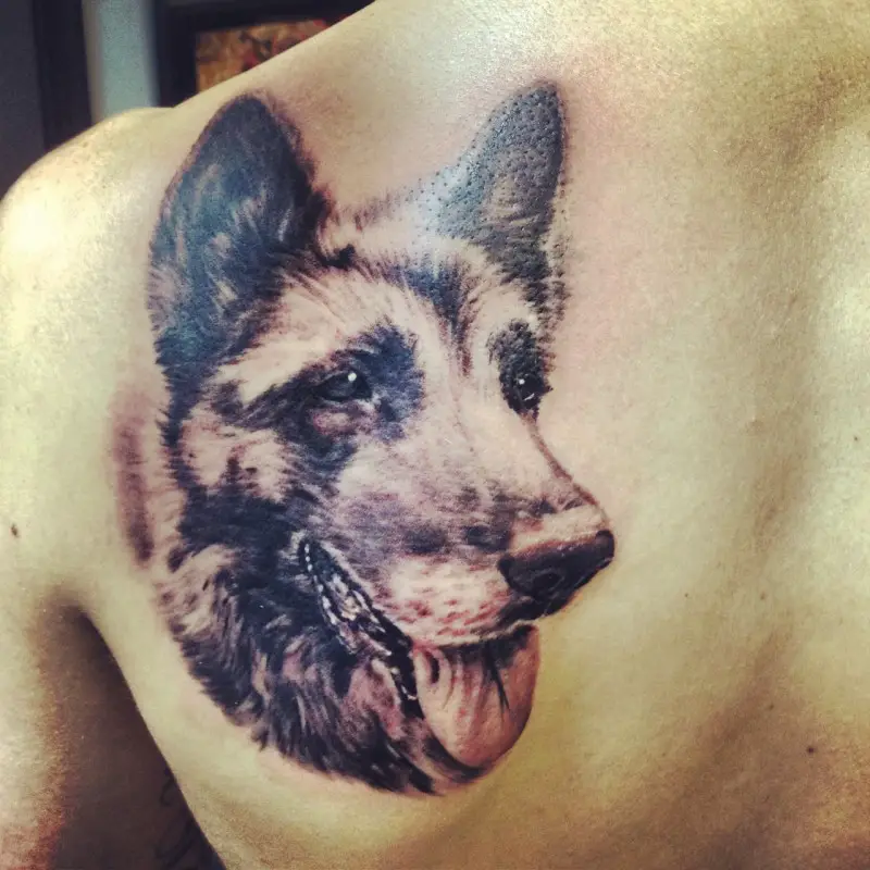 German Shepherd Dog 3D Tattoo on the back