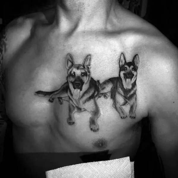 black and white photo of a man with two lying down German Shepherd Dogs Tattoo on the chest