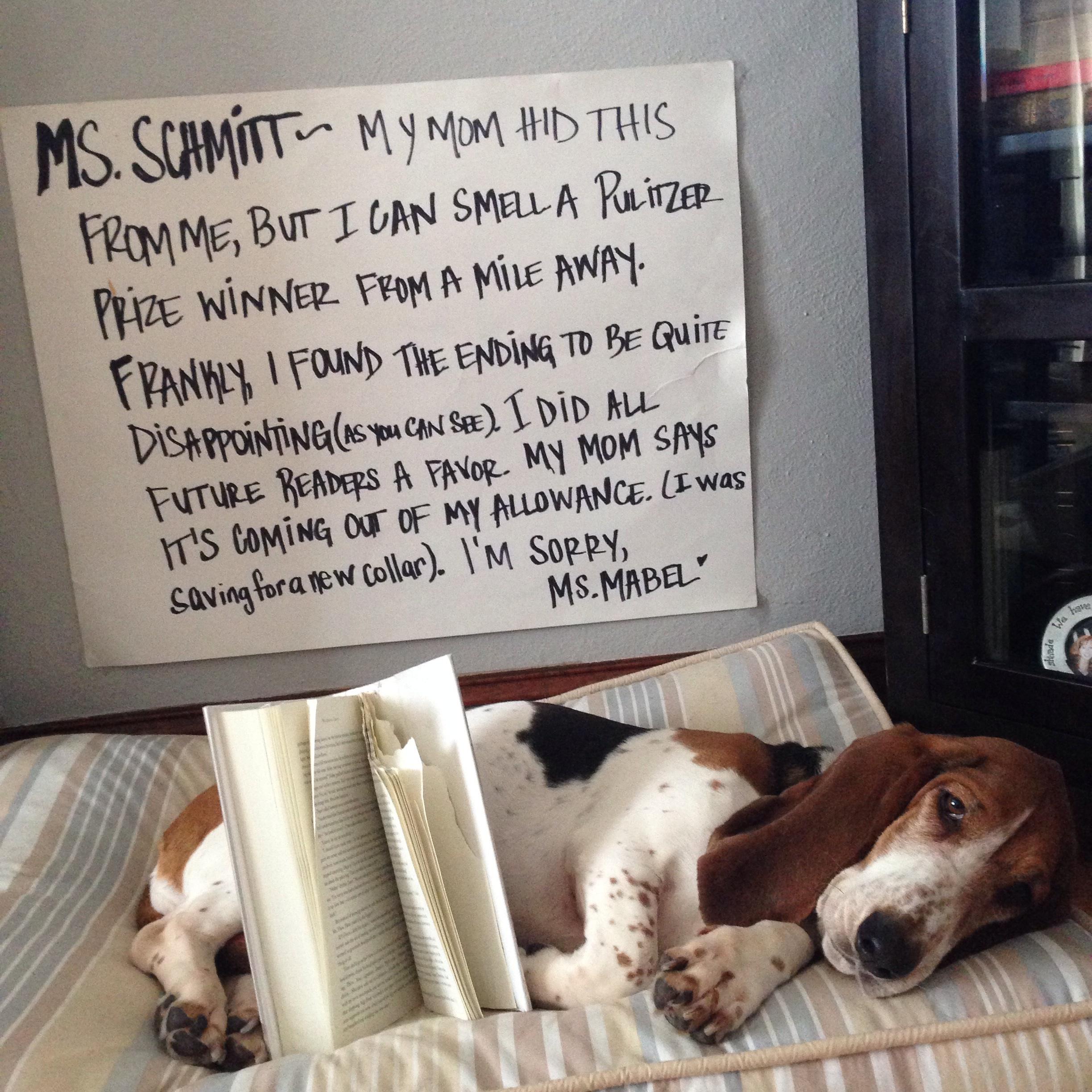 A Basset Hound lying on its bed with a book and a note in the wall behind him that sayes - Ms. Schmit- my mom hid this from me but I can smell a pulitizer.. prize winner from a mile away. Frankly, I found the ending to be quite disappointing, I did all future readers a favor. My mom says it's coming out of my allowance. I was saving for a new collar. I'm sorry Ms. Mabel