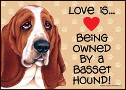 Basset hound sad face art with a saying 
