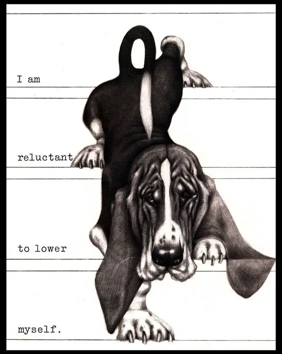 drawing of a Basset hound walking down the stairs with 