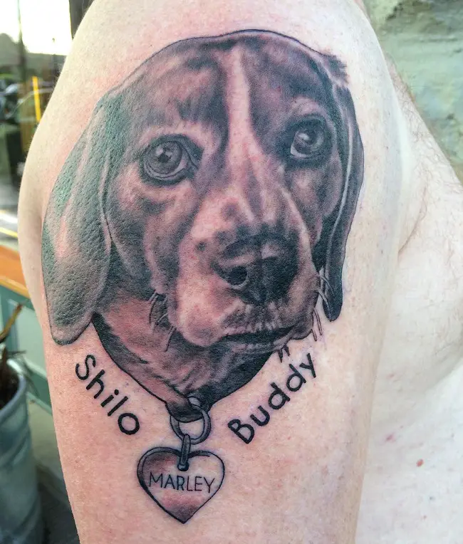 face of Beagle tattoo on the arm