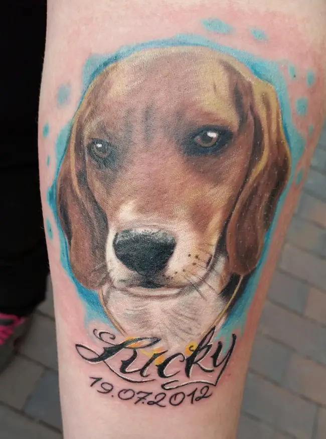 3D Beagle tattoo with bleu watercolor on the background