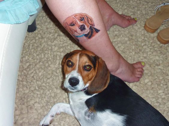 face of Beagle tattoo on the leg