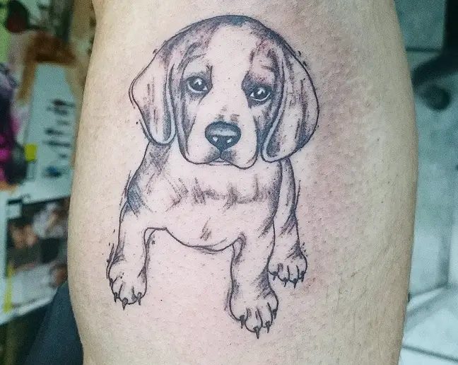 Beagle puppy tattoo on the leg