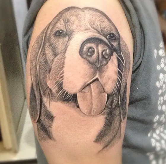 face of Beagle with its tongue sticking out tattoo on the arm