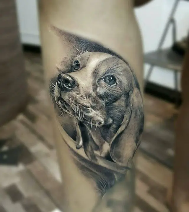 realistic face of Beagle tattoo on the leg