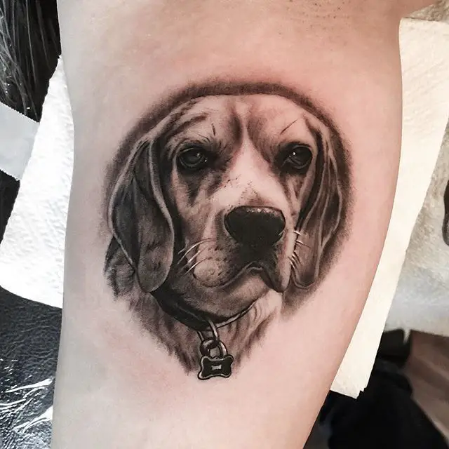 3D face of Beagle tattoo