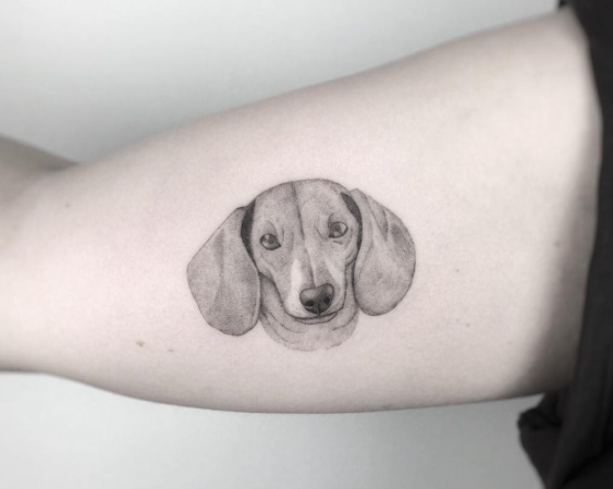 minimalist face of Beagle tattoo on biceps