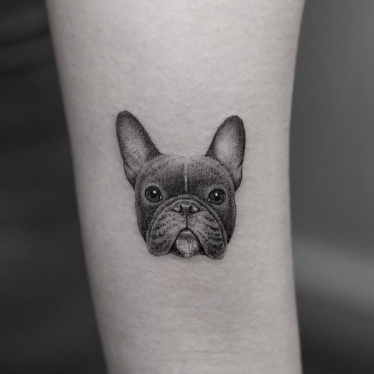 face of French Bulldog Tattoo on the wrist