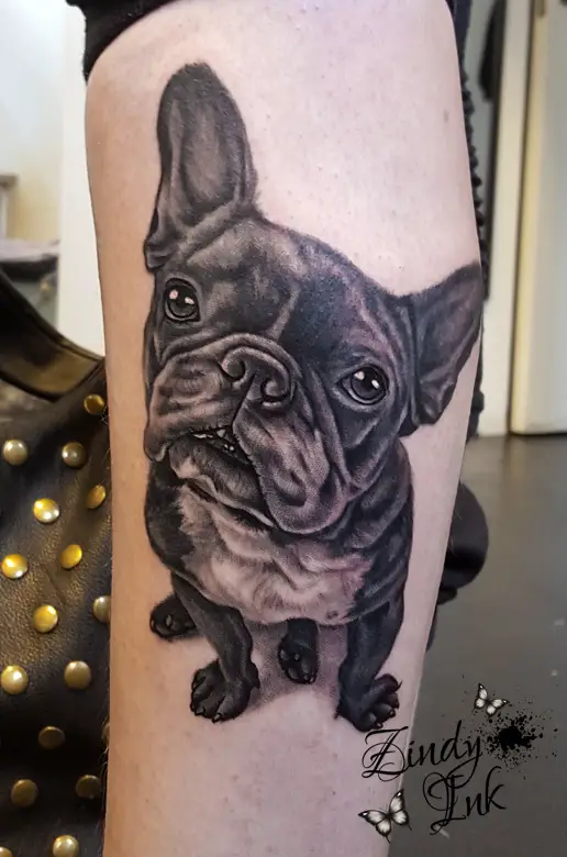 sitting black French Bulldog Tattoo