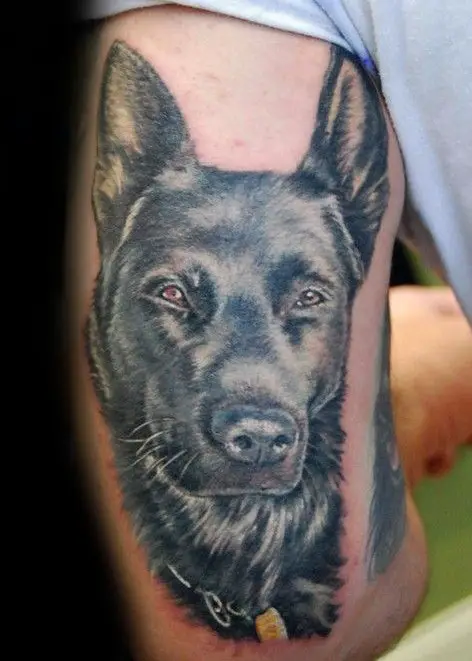 black German Shepherd Dog Tattoo on the arm