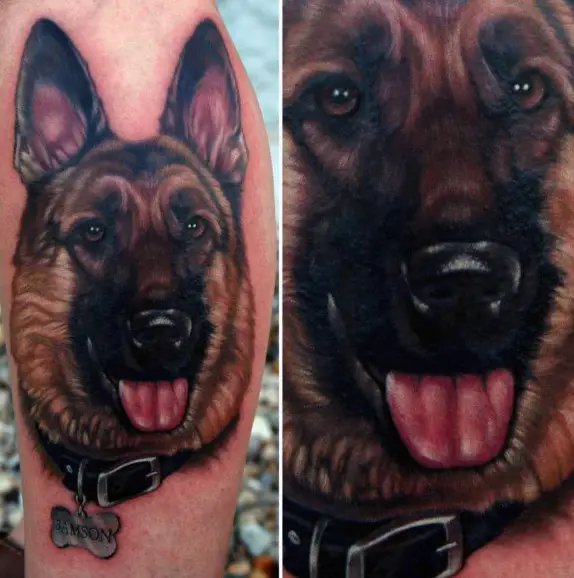 collage photo of a German Shepherd Dog Tattoo and picture of the dog inspo