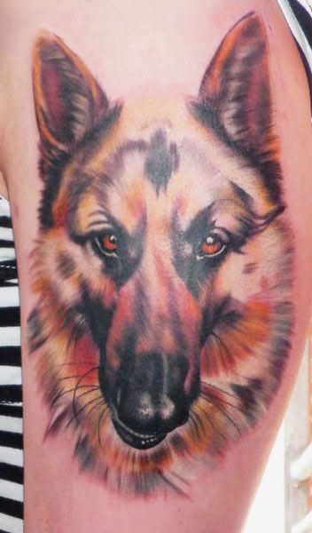 realistic German Shepherd Dog Tattoo on the arm