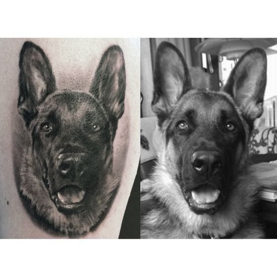 black and white collage photo of a 3D German Shepherd Dog Tattoo vs the actual dog inspo photo