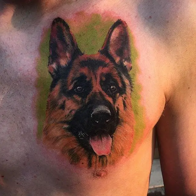 German Shepherd Dog with its tongue out and in green background Tattoo on the chest