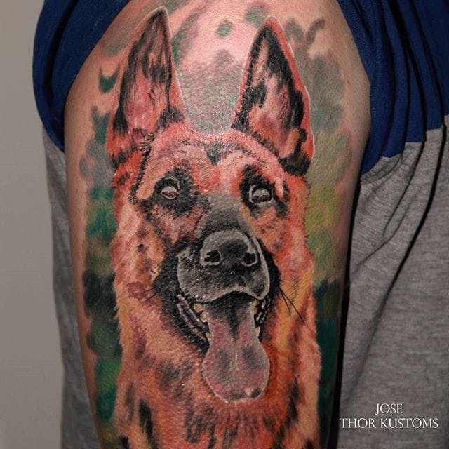 realistic German Shepherd Dog Tattoo on the shoulder