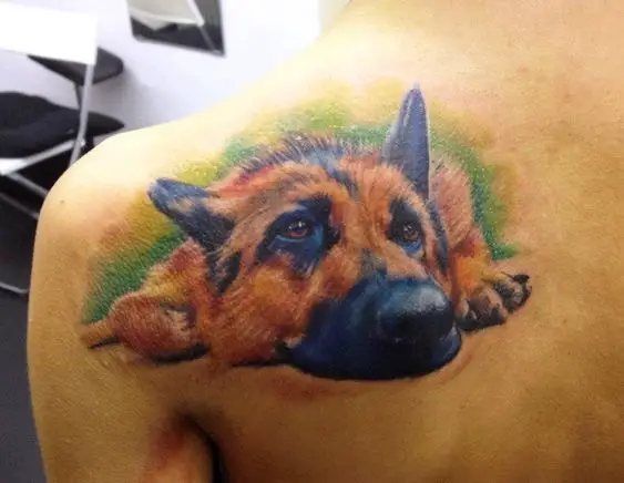 lying down German Shepherd Dog Tattoo on the back