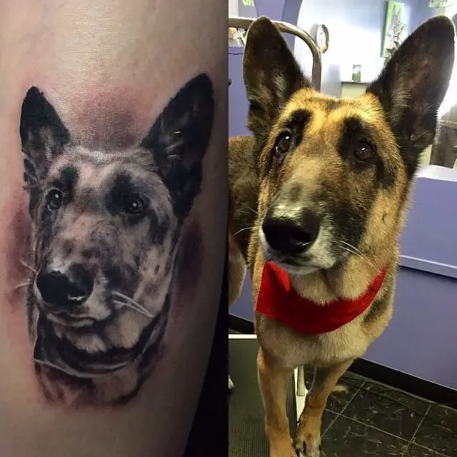 curious face of a 3D German Shepherd Dog Tattoo
