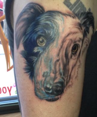 face of a Border Collie tattoo on the shoulder