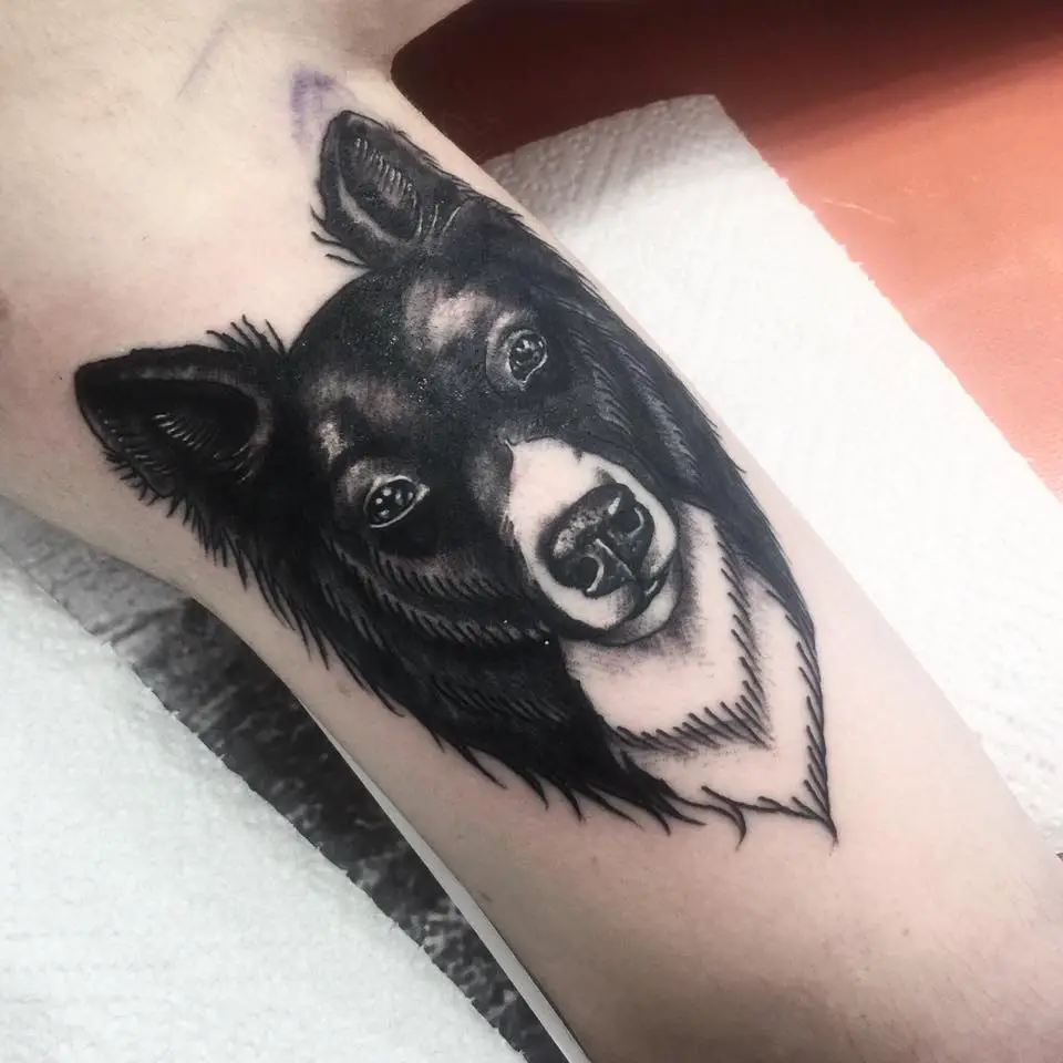 face of a Border Collie in black and white colors tattoo on the biceps
